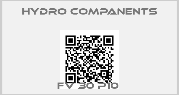 Hydro Companents-FV 30 P10 