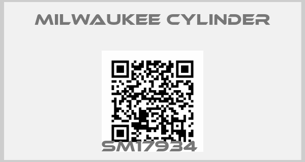 Milwaukee Cylinder-SM17934 