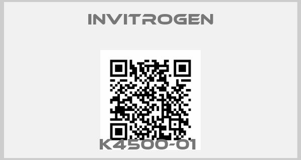 INVITROGEN-K4500-01 