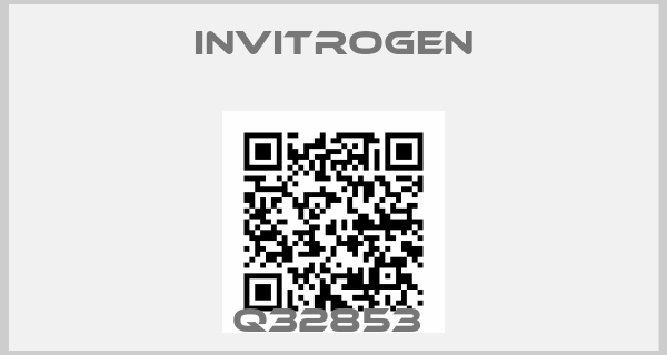 INVITROGEN-Q32853 